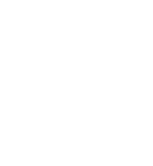 Claudia & Julio USA